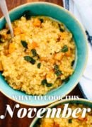 What to Cook This November
